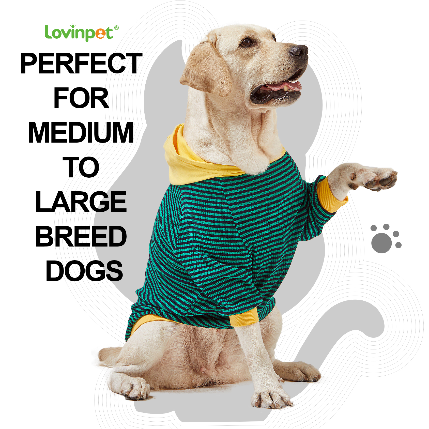 LovinPet Large Dog Hoodie - Green & Black Striped Hoodie with Yellow Accents