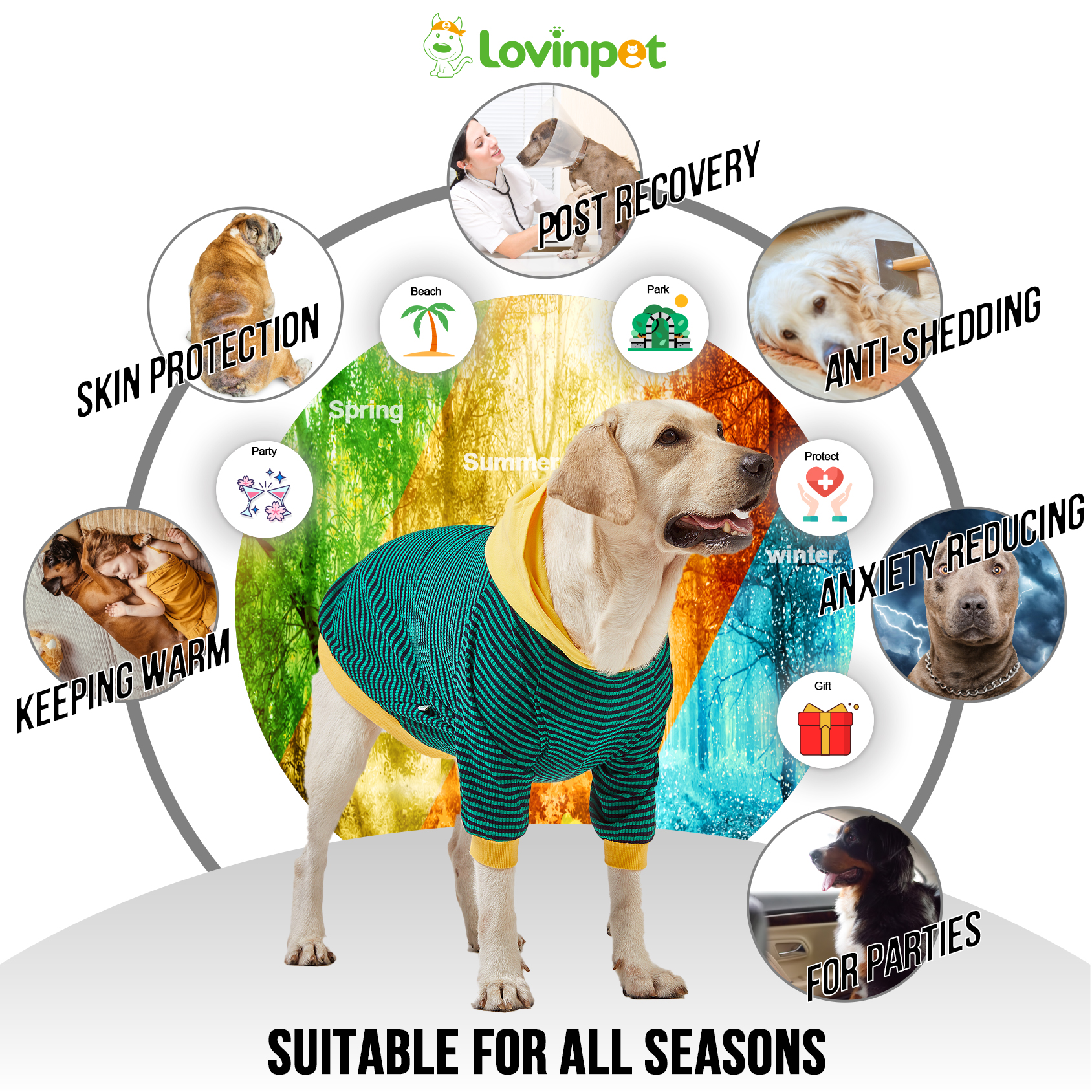 LovinPet Large Dog Hoodie - Green & Black Striped Hoodie with Yellow Accents