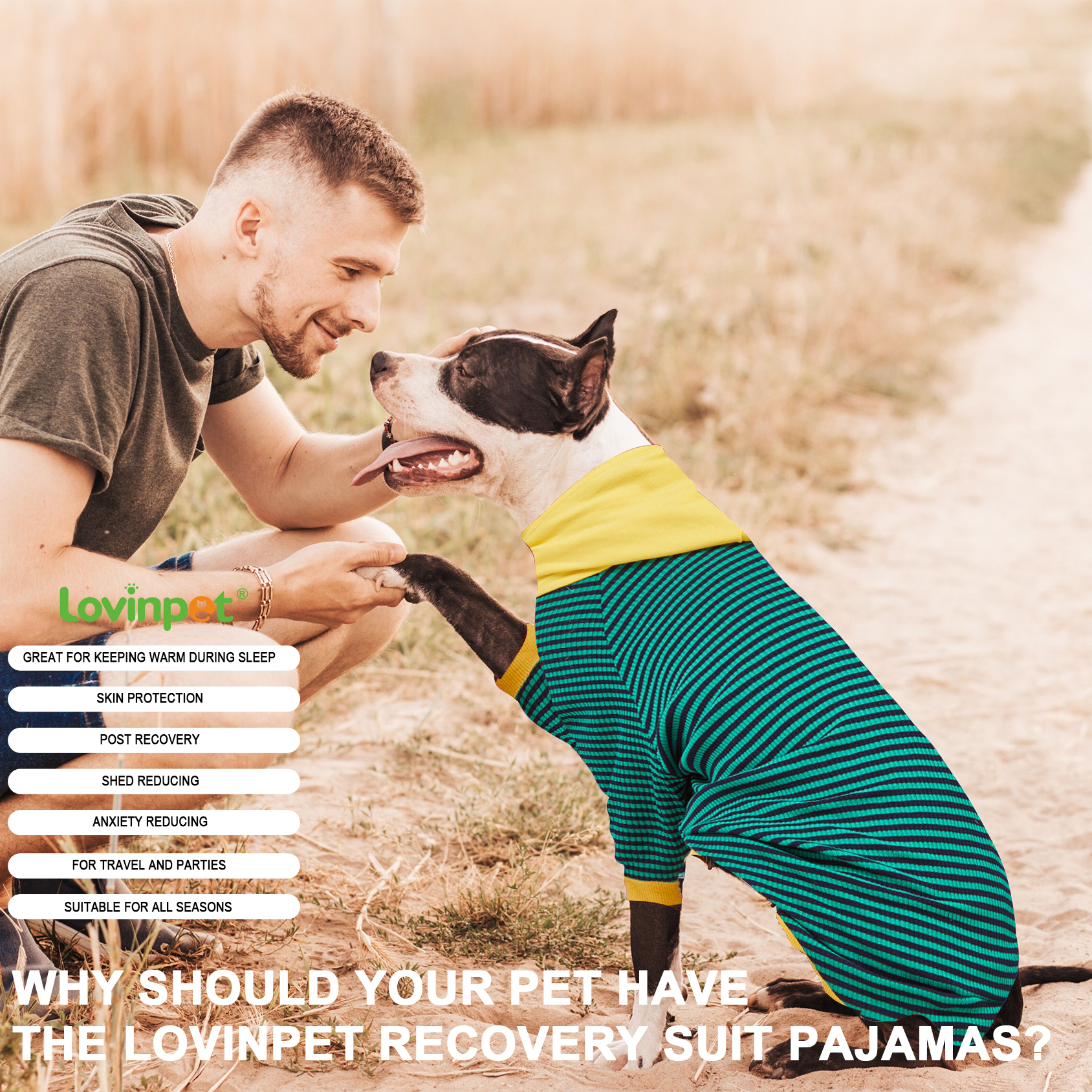 LovinPet Large Dog Hoodie - Green & Black Striped Hoodie with Yellow Accents