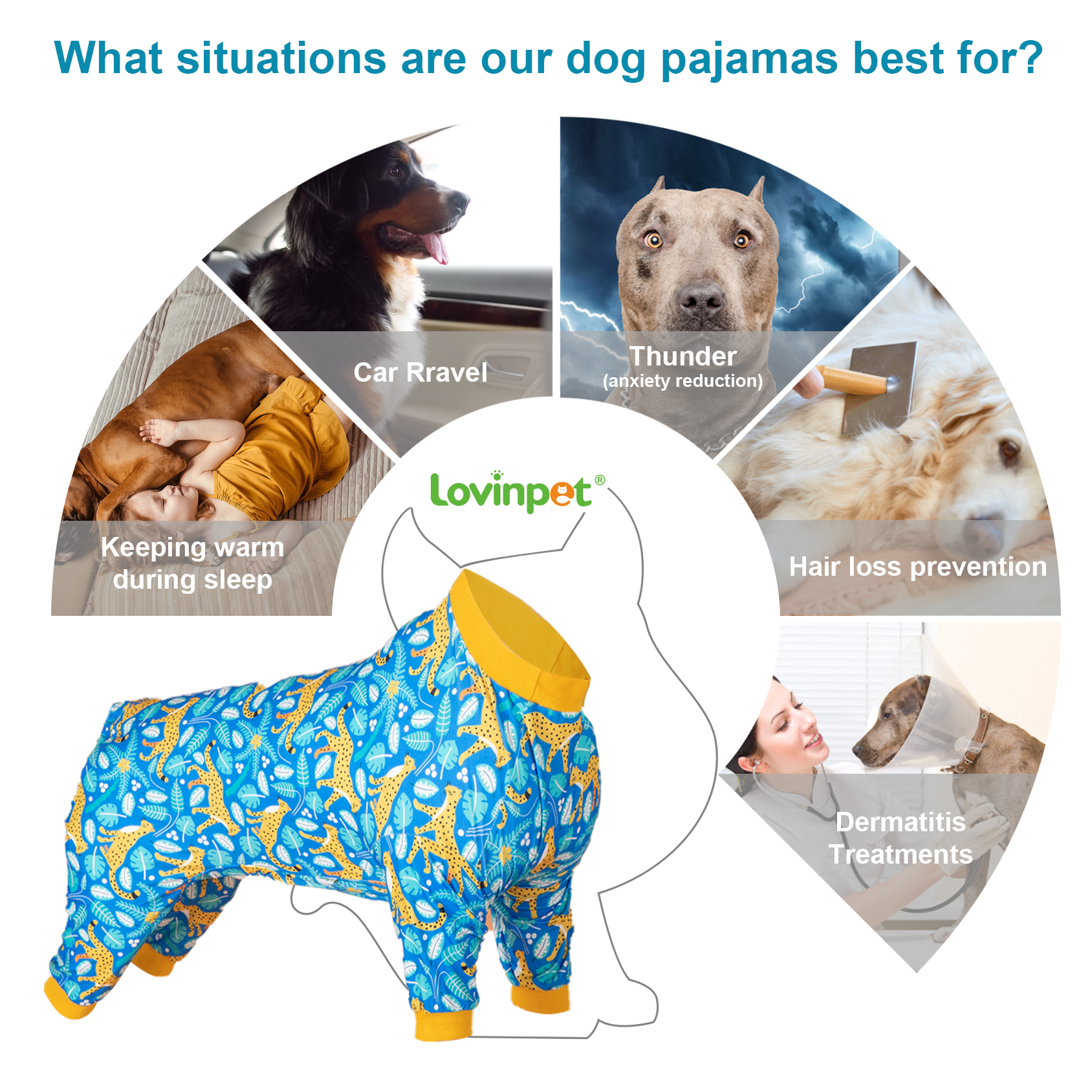 LovinPet American Bull Pajamas - UV Protection etc.