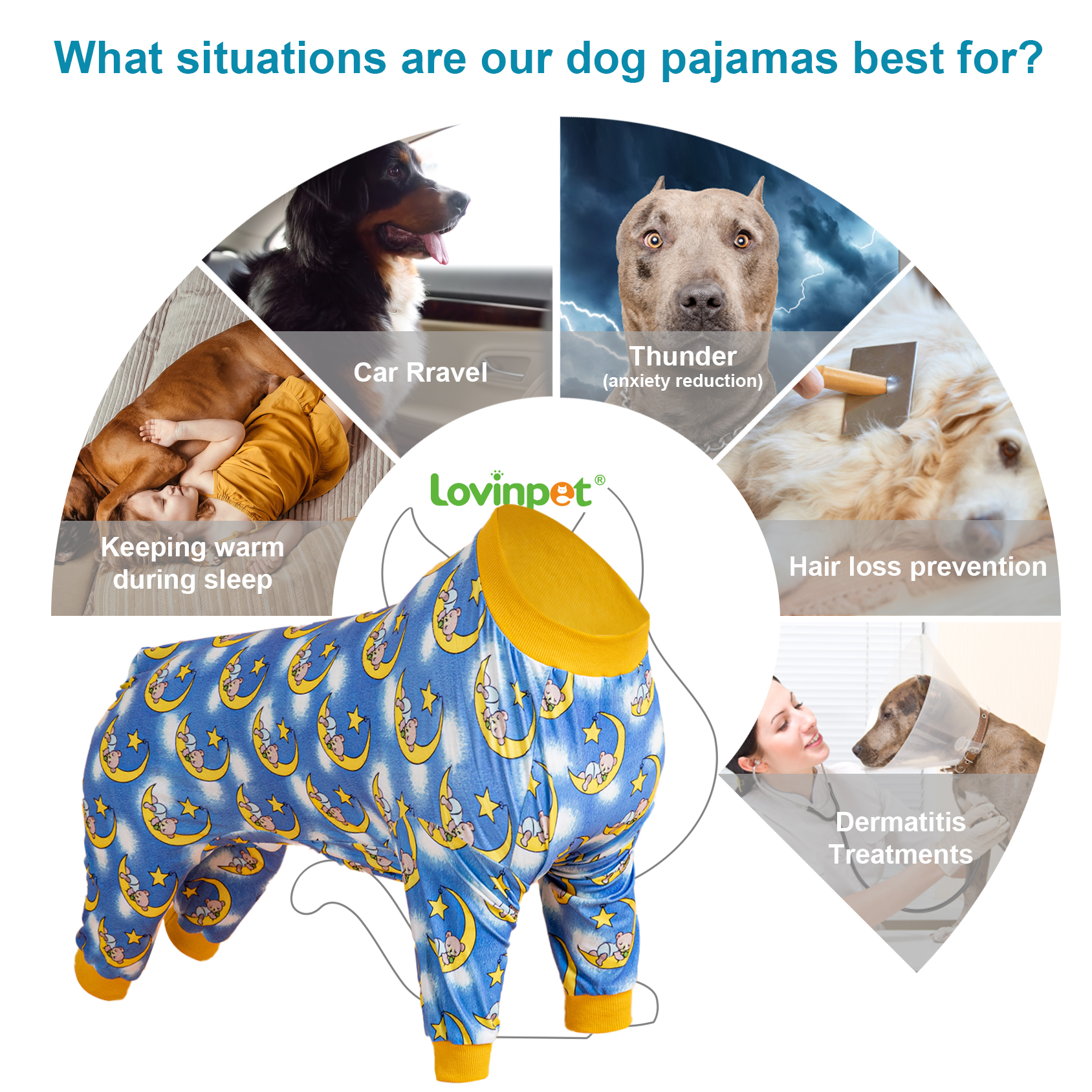 LovinPet Large Dog Knee Surgery Pajamas Onesie - Nighty Bear
