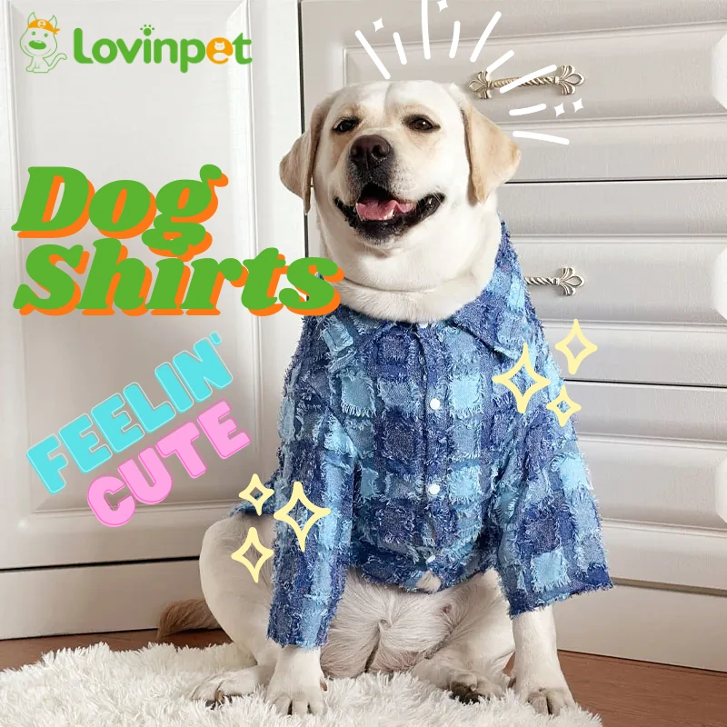 Dog Shirts