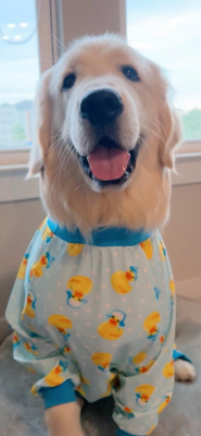 large-image-with-text-box