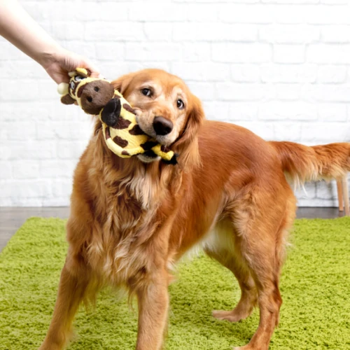 Dog Interactive Toys