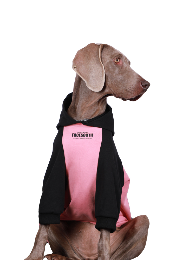 Fashionable Dog Hoodie for Large Breeds - Color Block Design