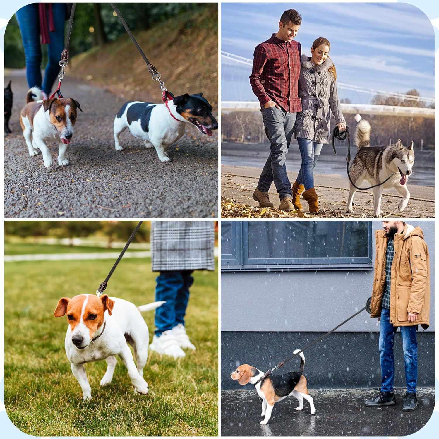 Dog hand holding rope medium large dog universal safety buckle dog leash collar dog walking P chain hand holding rope