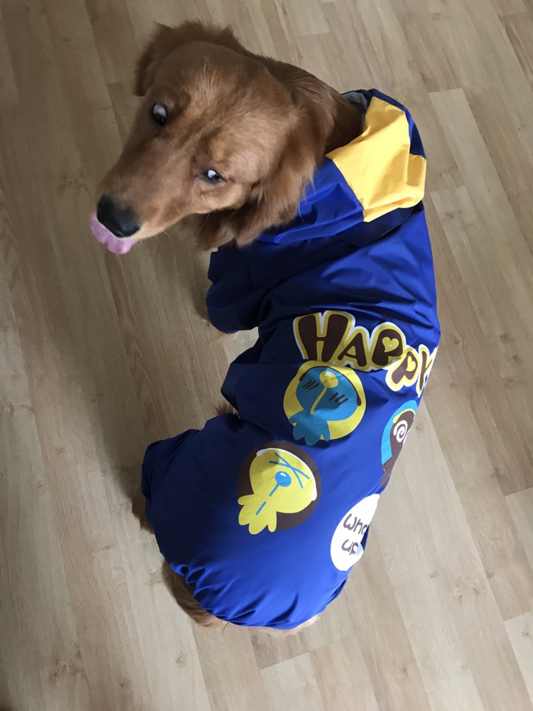 Lovinpet Four-Leg Dog Raincoat - Cartoon Shell Jacket for Large, Medium, and Small Dogs
