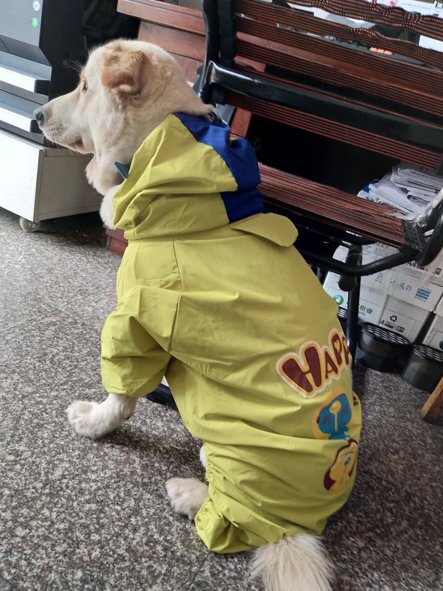 Lovinpet Four-Leg Dog Raincoat - Cartoon Shell Jacket for Large, Medium, and Small Dogs