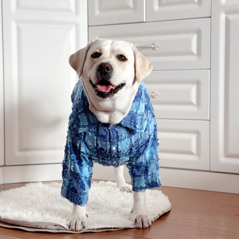 LovinPet Fashion Spring Dog Shirt for Large Breeds | Labrador, Golden Retriever