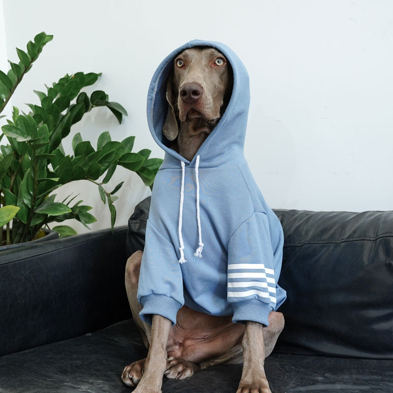 Large Dog Hoodies | Thickened Autumn Winter Fashion for Labradors,Huskies, Samoyeds