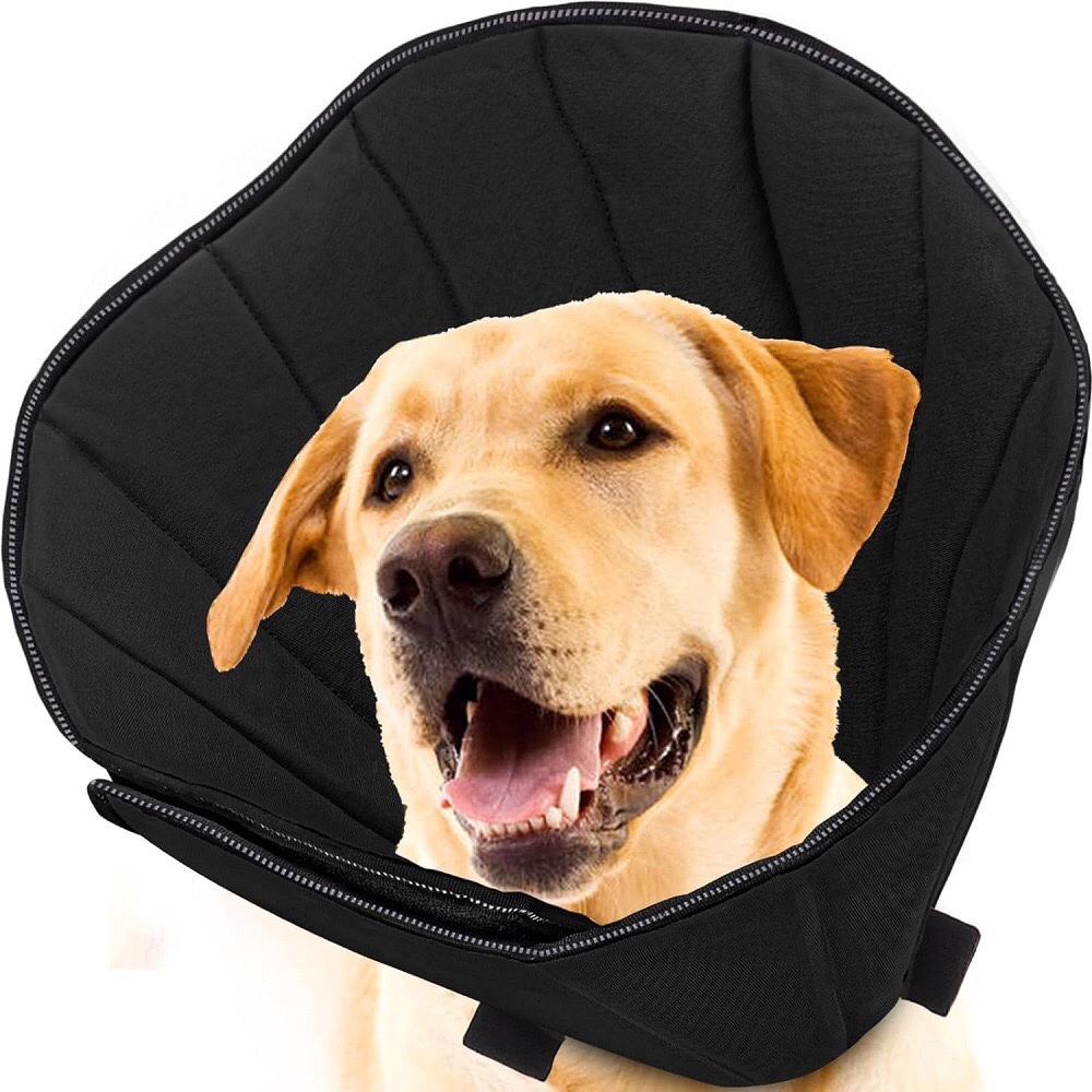 Medium & Big Dog Collar - Deepening plus-sized Elizabeth ring