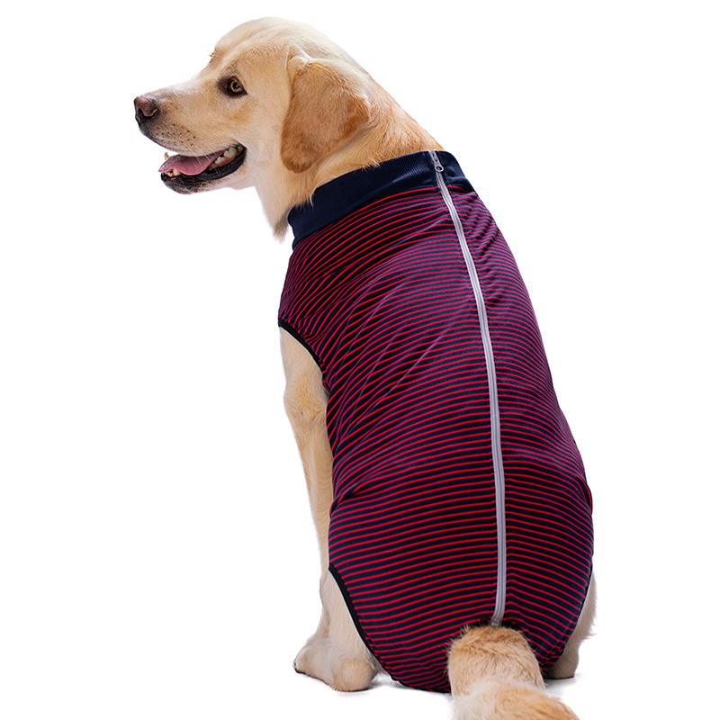 Big Dog menstrual panties female canine pants for menstrual period safety pants female dog menstrual period anti-cross anti-harassment dog sterilization surgery back clothes thin