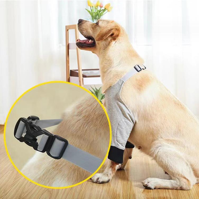 Dog Leg injury protective gear Big Dog front leg light section protective cover knee pad pet light section warm wear protective gear