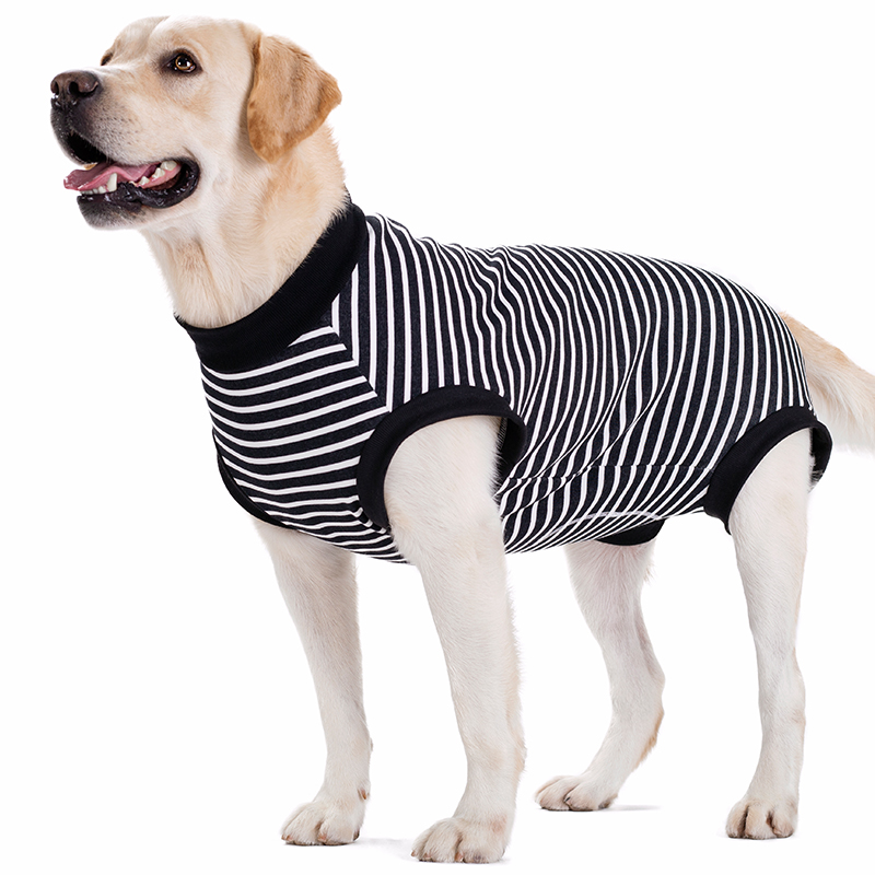 Big dog clothes autumn and winter fleece-lined thickened golden retriever bellyband vest warm prevent catching cold female canine all-inclusive belly post-operation clothes