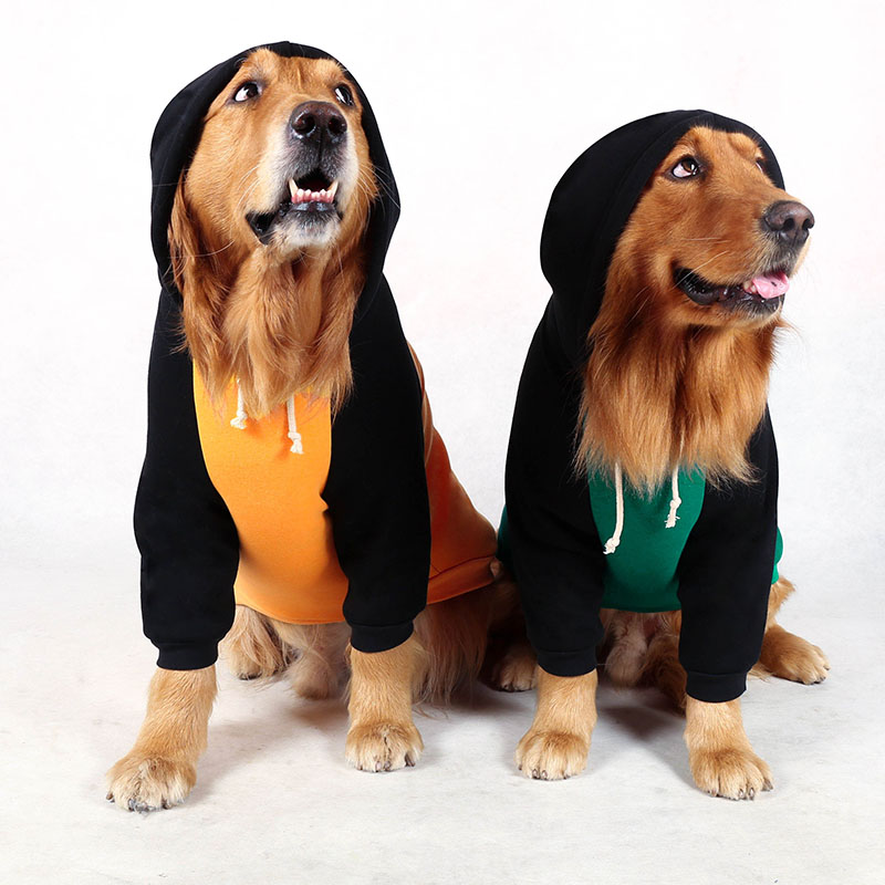 Cute Two-Legged Dog Hoodie for Medium-Sized Breeds