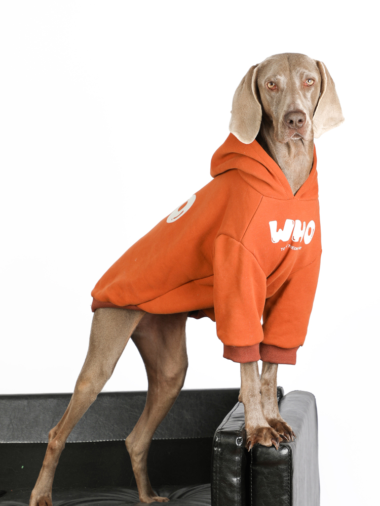 Warm Anti-Lint Dog Hoodies for Large Dogs - Golden Retriever & Labrador