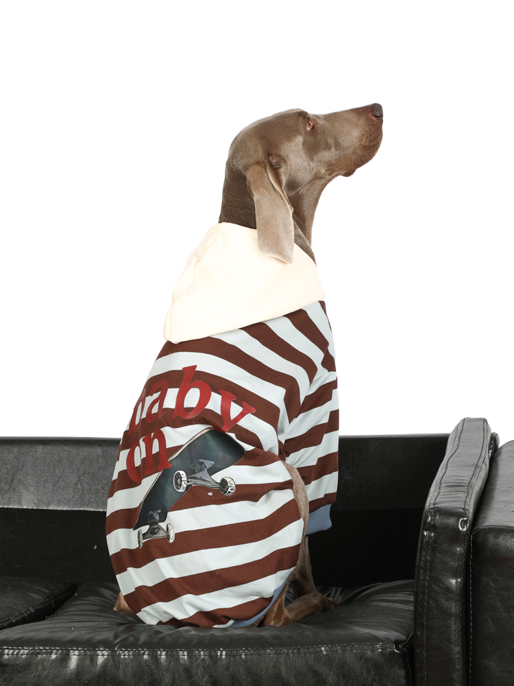 Stylish Striped Large Dog Hoodies | Spring/Autumn Wear