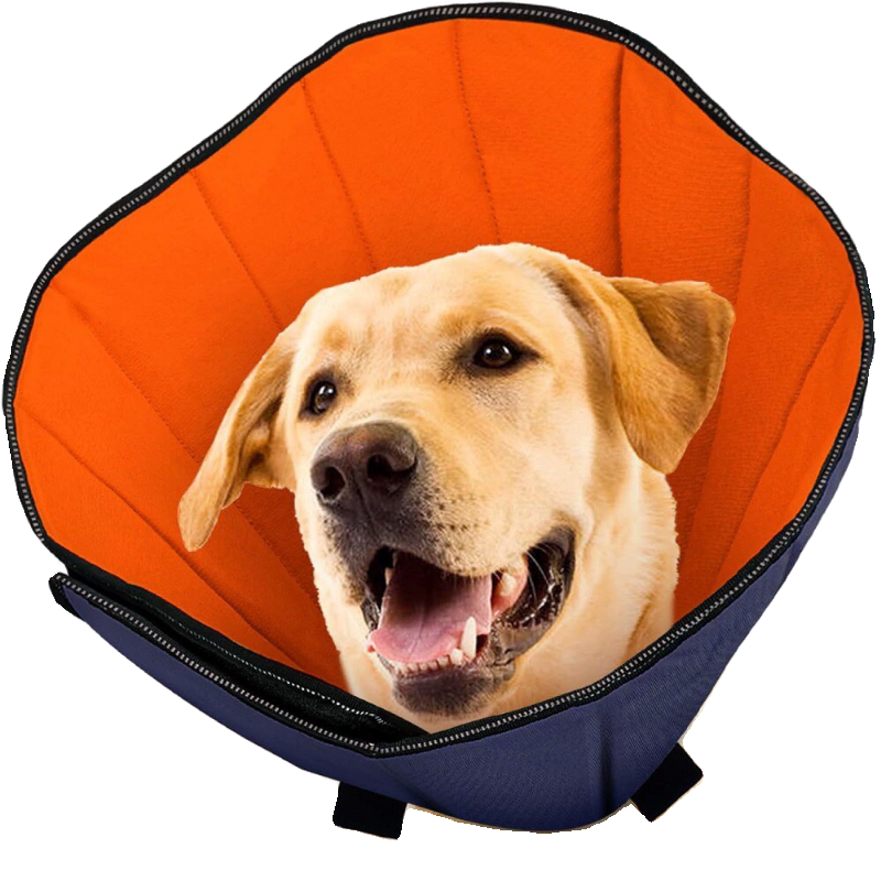 Medium & Big Dog Collar - Deepening plus-sized Elizabeth ring