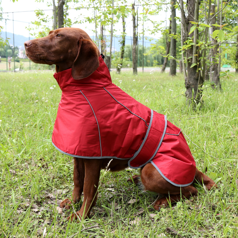 Pet autumn and winter waterproof windproof coat dog outdoor keep warm cotton-padded coat large, medium and small dogs warm Dubin hitting Hound