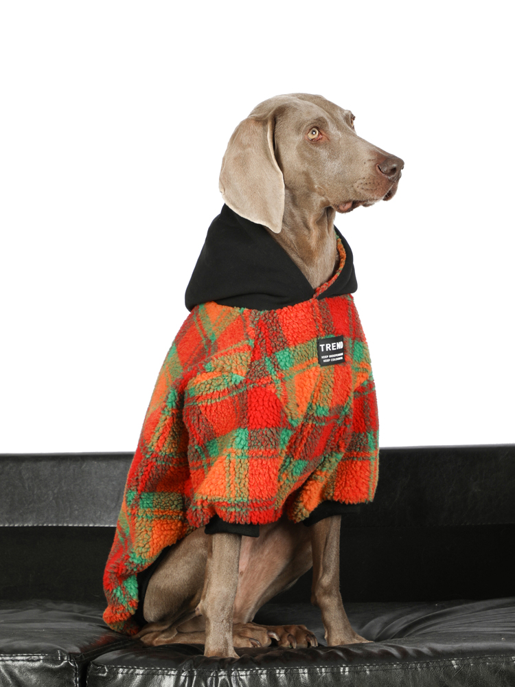 Cozy Thermal Lambswool Dog Hoodies - Winter Warmth for Large Breeds