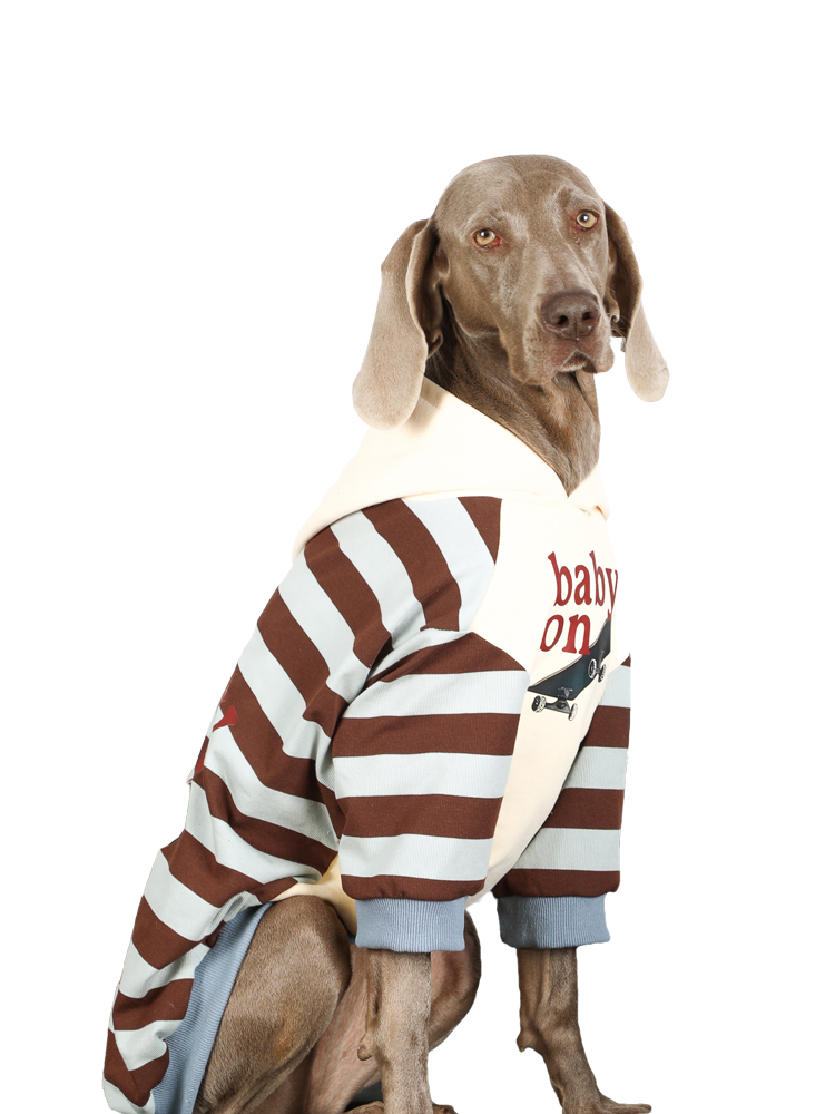 Stylish Striped Large Dog Hoodies | Spring/Autumn Wear