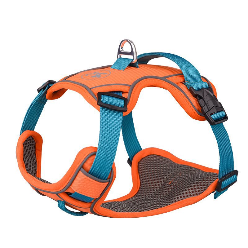 Dog hand holding rope vest-style chest strap outing strap dog harness small large dog Labrador dog leash