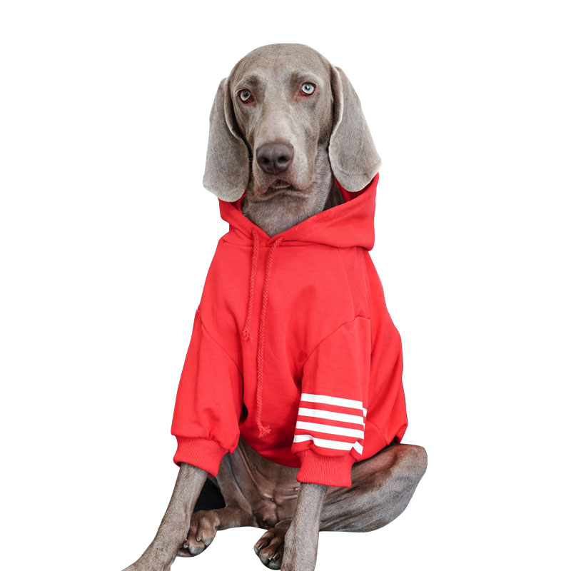 Large Dog Hoodies | Thickened Autumn Winter Fashion for Labradors,Huskies, Samoyeds