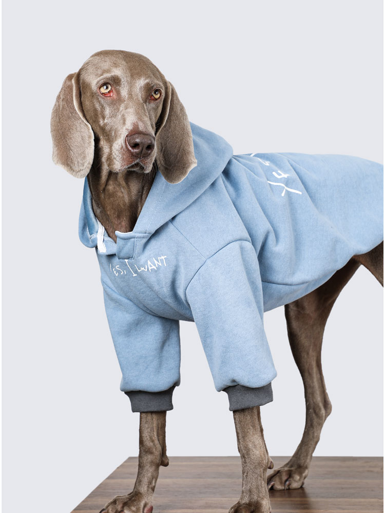 Warm Winter Dog Hoodie for Large Breeds - High-Neck Design