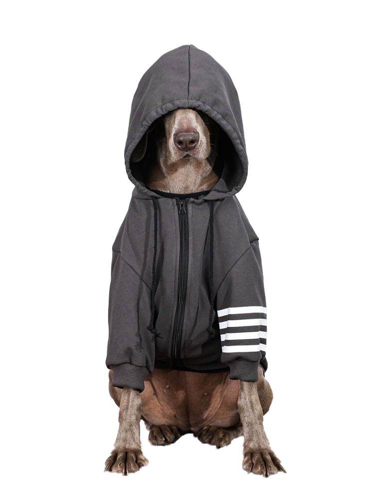 Fashionable Black Large Dog Hoodie for Autumn & Winter | Warm Labrador & Golden Retriever Coat