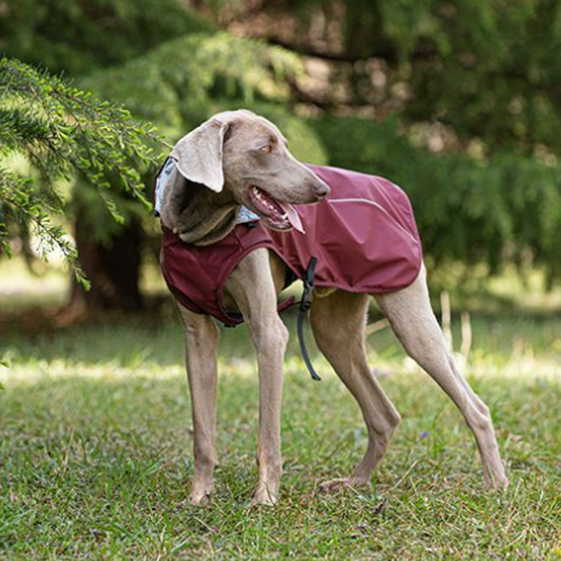 Premium Dog Raincoat with Hood | Waterproof & Windproof Large Dog Jacket | Outdoor Canine Rain Gear