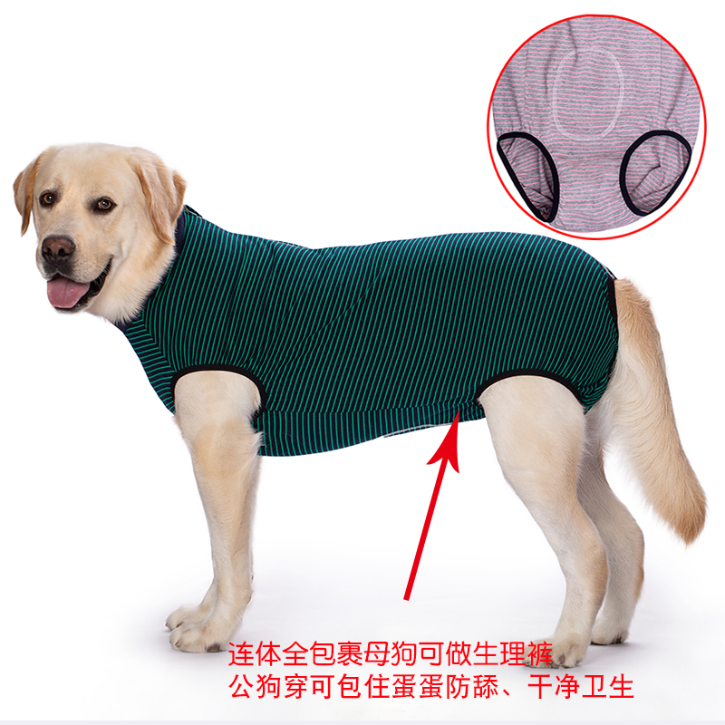 Big Dog menstrual panties female canine pants for menstrual period safety pants female dog menstrual period anti-cross anti-harassment dog sterilization surgery back clothes thin