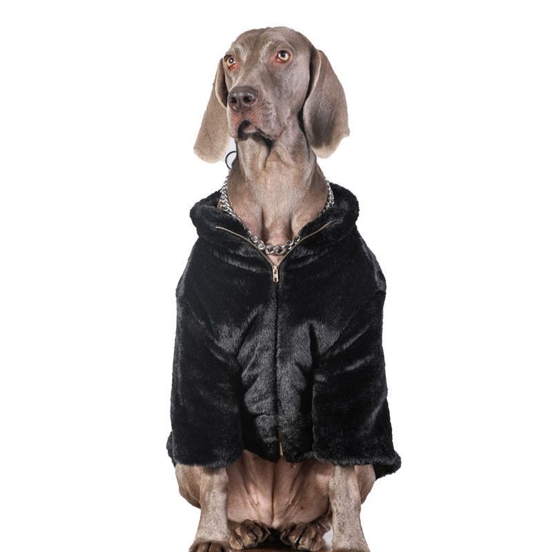 Warm Cotton-Padded Winter Dog Hoodie for Large Dogs - Golden Retriever, Husky, Labrador