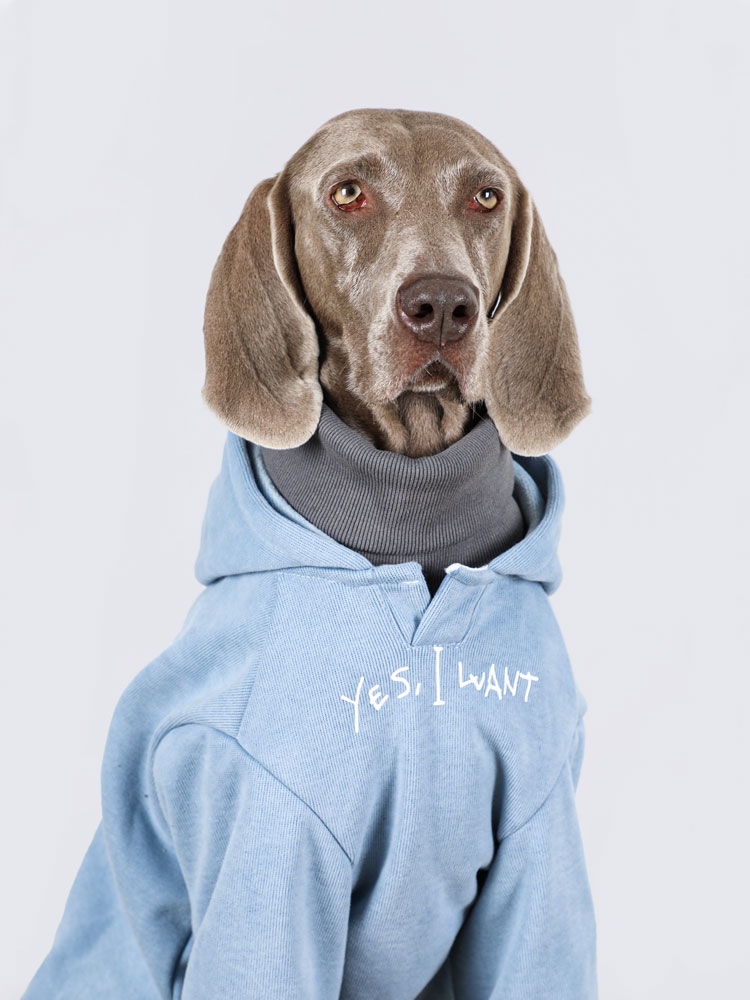 Warm Winter Dog Hoodie for Large Breeds - High-Neck Design