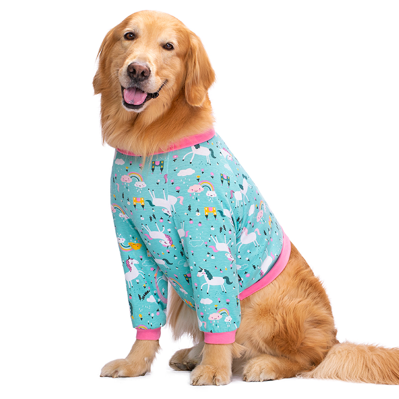 Dog clothes thin summer elbow protection joint protection clothing golden retriever Labrador medium large dog pet two feet apparel