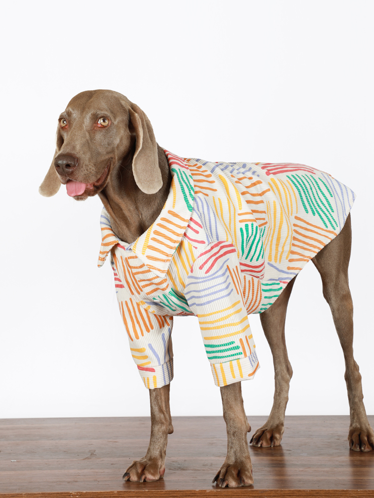 LovinPet Trendy Large Dog Shirt | Anti-Lint Spring/Autumn Outfit
