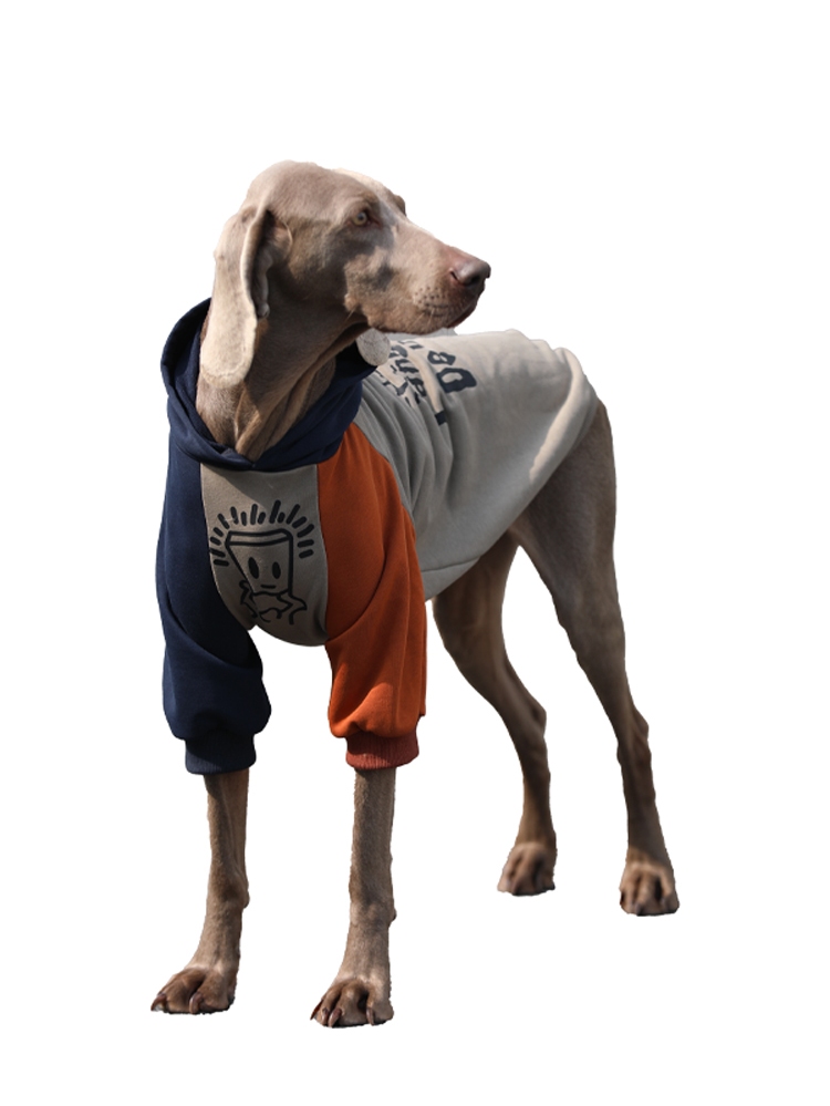 Anti-Lint Large Dog Hoodie - For Spring and Autumn