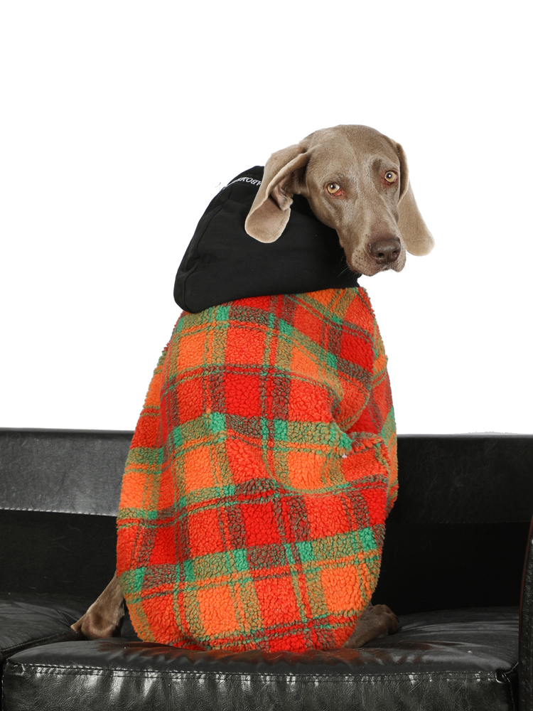 Cozy Thermal Lambswool Dog Hoodies - Winter Warmth for Large Breeds