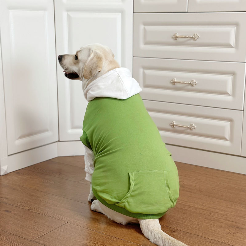 Cyber Celebrity Style Large Dog Hoodie - Fake Two-Piece for Spring & Autumn