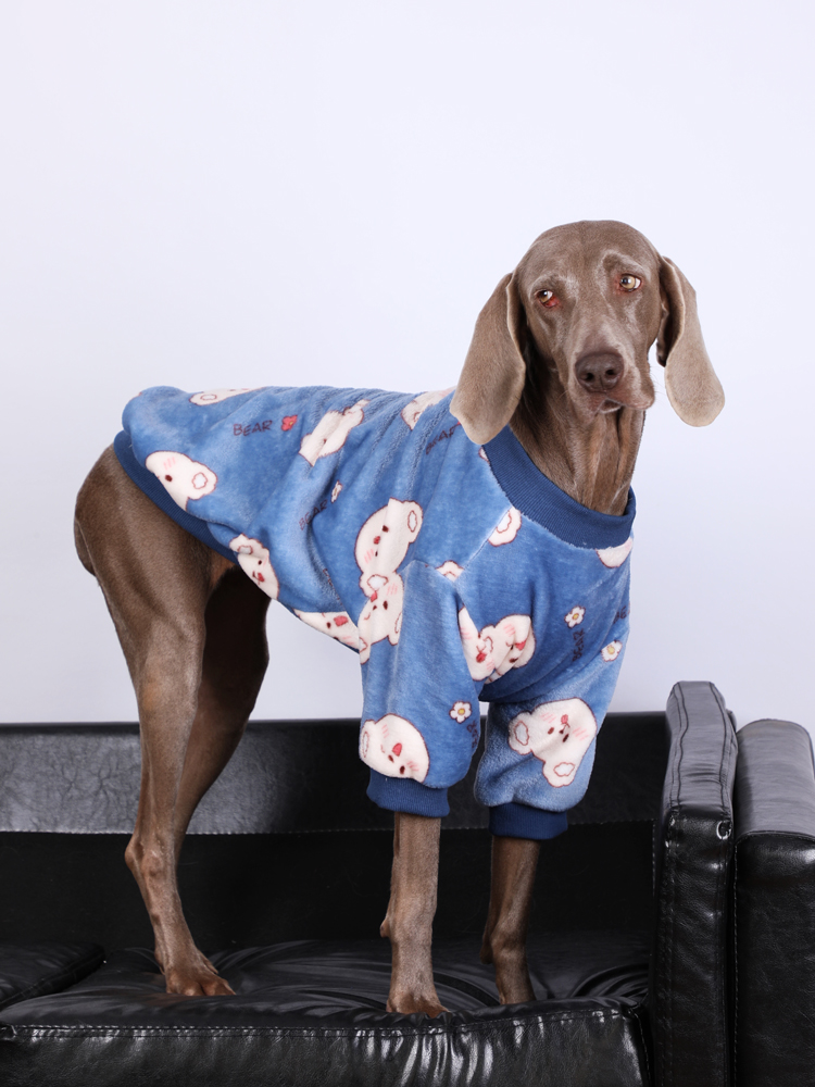 Large dog in Lovinpet blue fleece pajamas with a cute bear design, standing on a couch, providing warmth and comfort for large breeds.