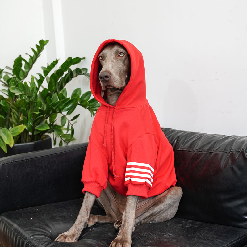 Large Dog Hoodies | Thickened Autumn Winter Fashion for Labradors,Huskies, Samoyeds