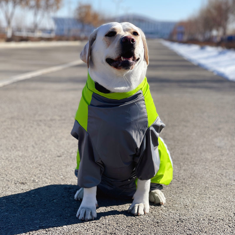All-Inclusive Waterproof Dog Raincoat | Four-Legged Rain Jacket for Large Dogs | Labrador, Samoyed