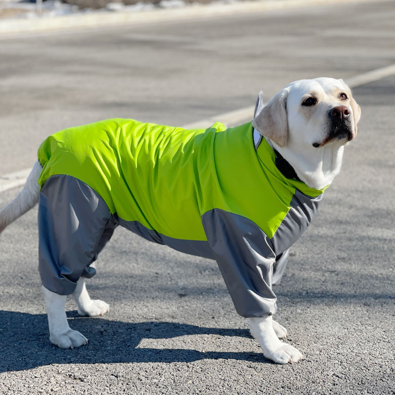 All-Inclusive Waterproof Dog Raincoat | Four-Legged Rain Jacket for Large Dogs | Labrador, Samoyed