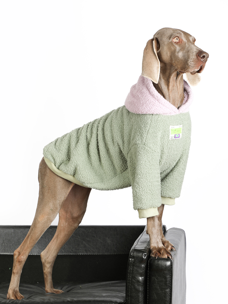 Winter Fleece Anti-lint Dog Hoodie - Clothes for Large Breeds