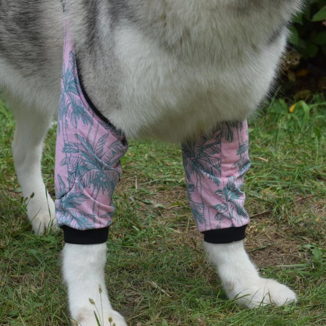 Dog Knee Suit16