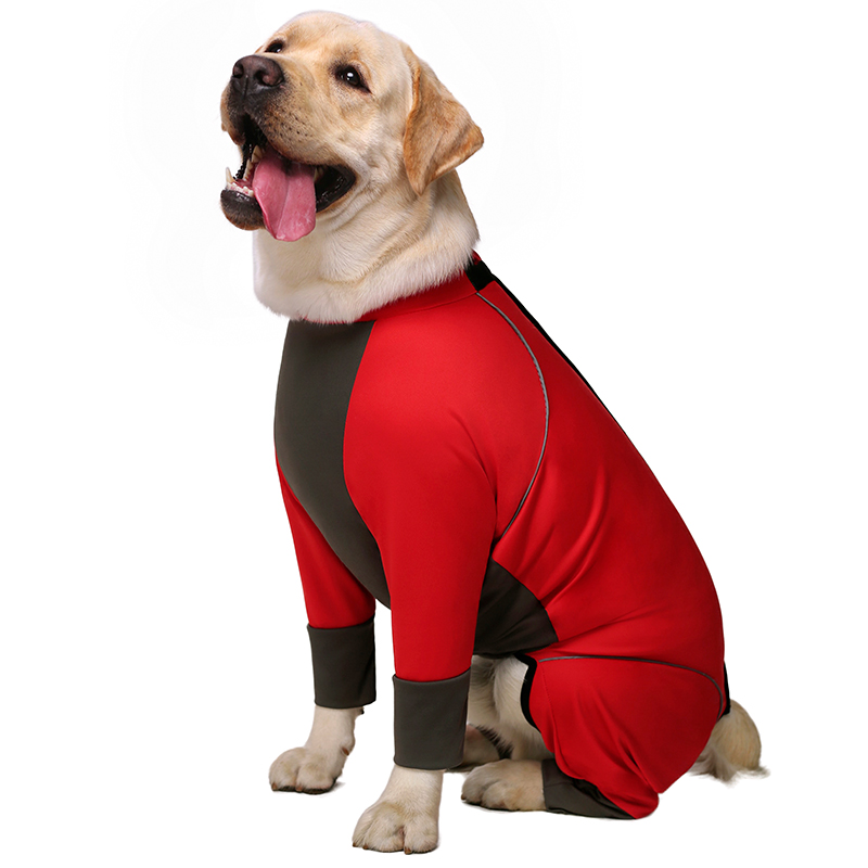Dog clothes four-legged pet clothing spring and autumn golden retriever Labrador large dog pet joint protection waterproof sports all-inclusive