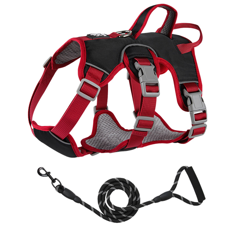 Anti breaking loose dog hand holding rope chest strap small and medium-sized dogs Jarre Aero bull Corgi and Shiba Inu dog leash dog leash dog chain