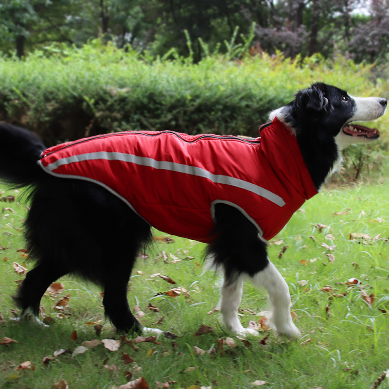 Dog clothes autumn and winter clothing border collie Labrador polar fleece thick warm cotton-padded jacket medium large dog winter winter
