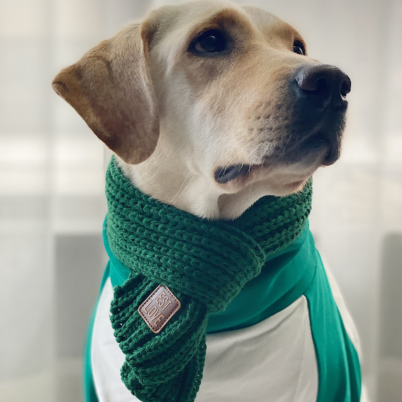 Dog scarf large dog warm Christmas scarf labrador golden retriever scarf warm ornament dog ornament winter