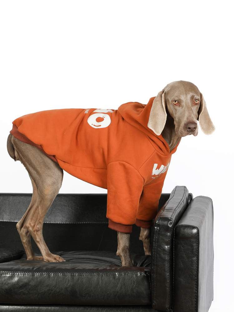 Warm Anti-Lint Dog Hoodies for Large Dogs - Golden Retriever & Labrador