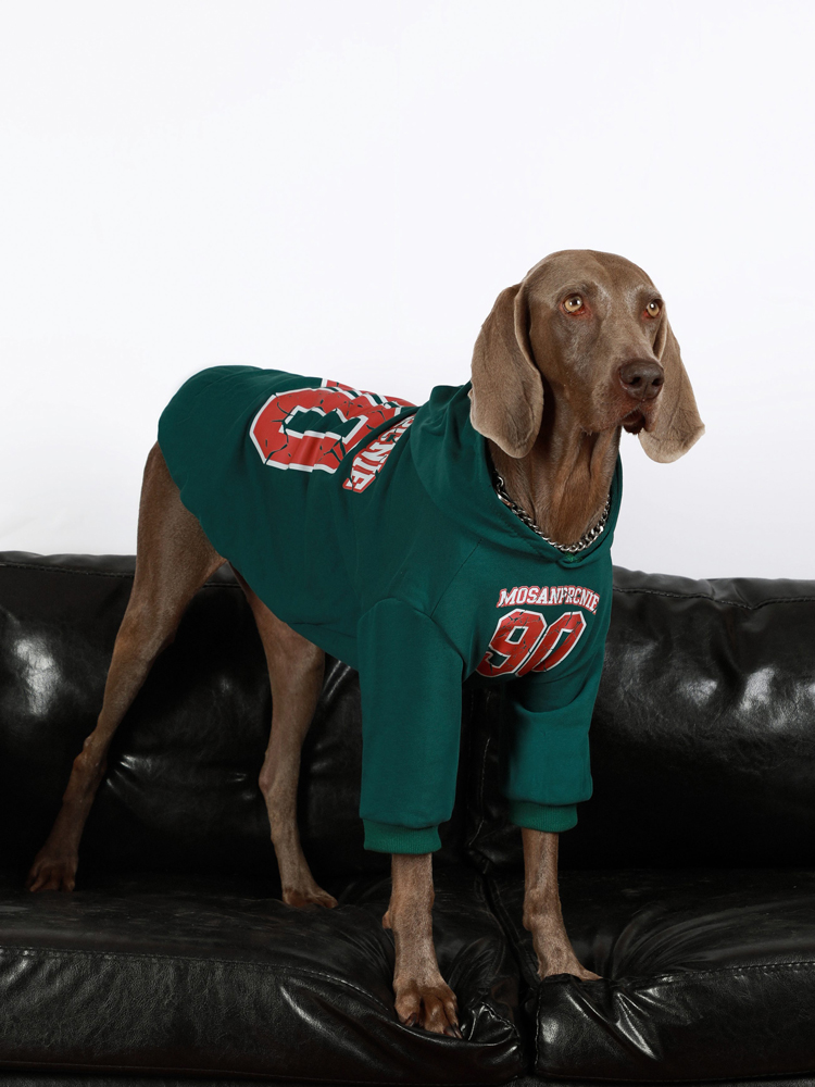 Sporty Large Dog Hoodies for Winter - Golden Retriever, Labrador, Doberman